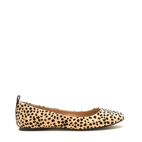 LEOPARD( CHEETAH) BALLERINA FLATS - Picture 2 of 4